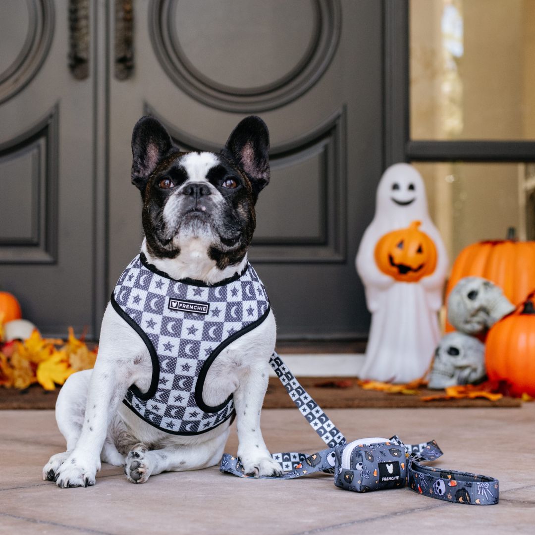 Frenchie Duo Reversible Harness - Black Magic from Frenchie Bulldog