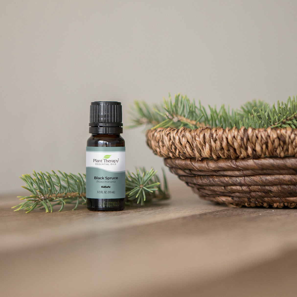 Black Spruce Essential Oil From Plant Therapy