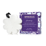 Blackberry | Boxed Flower from Spongellé