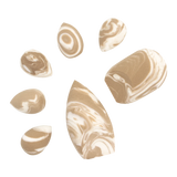 Blending Squad | 7-pc Beauty Sponge Set from Profusion Cosmetics