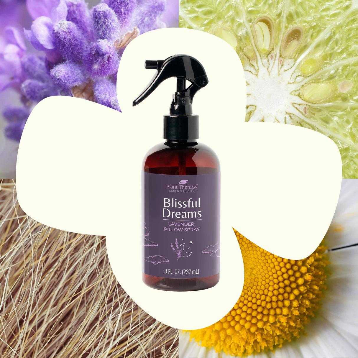 Blissful Dreams Lavender Pillow Spray from Plant Therapy