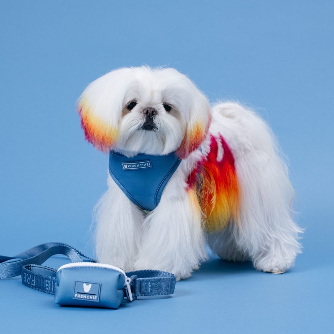 Frenchie Duo Reversible Harness - Blue Steel from Frenchie Bulldog