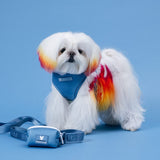 Frenchie Duo Reversible Harness - Blue Steel from Frenchie Bulldog