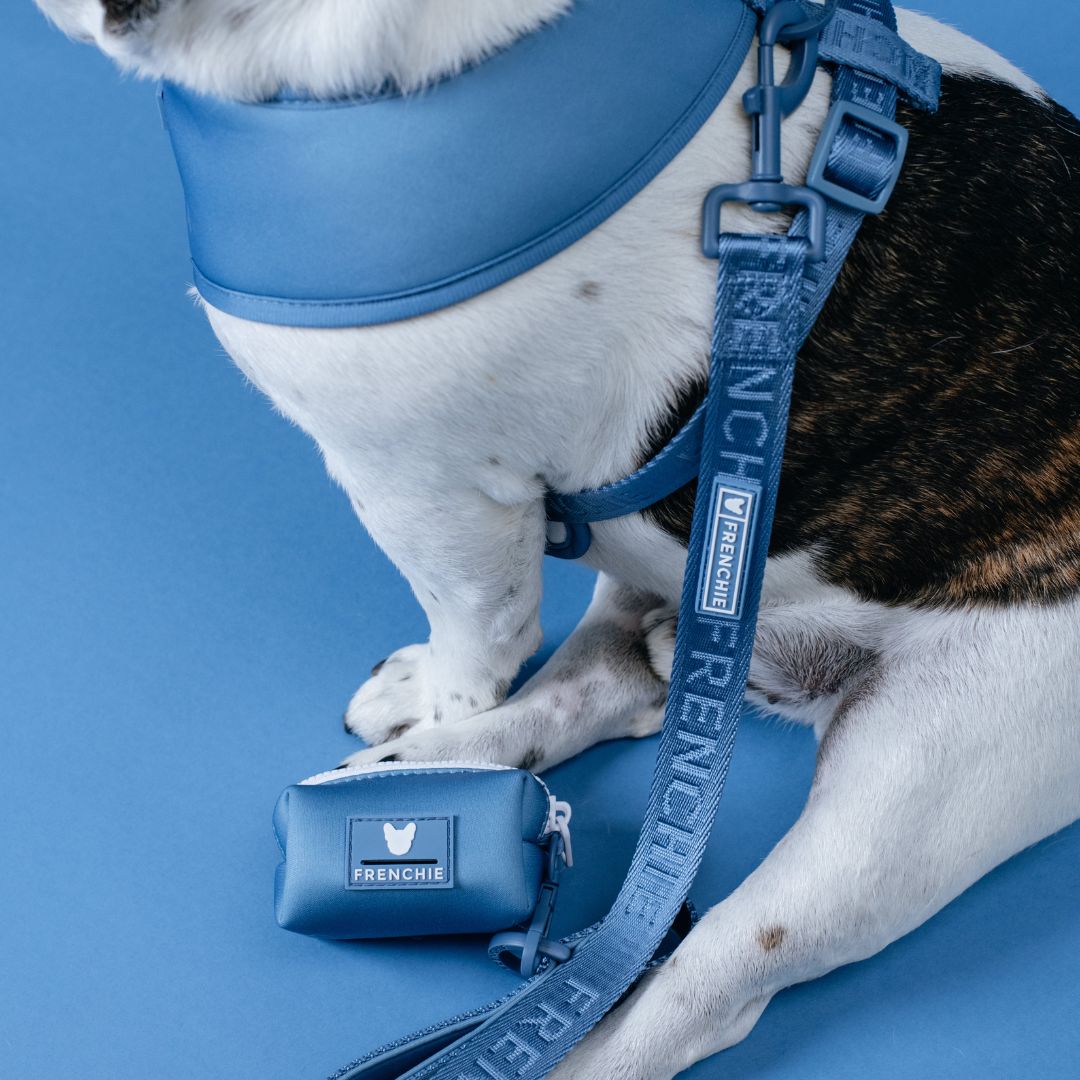 Frenchie Comfort Leash - Blue Steel from Frenchie Bulldog