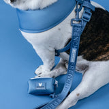 Frenchie Comfort Leash - Blue Steel from Frenchie Bulldog