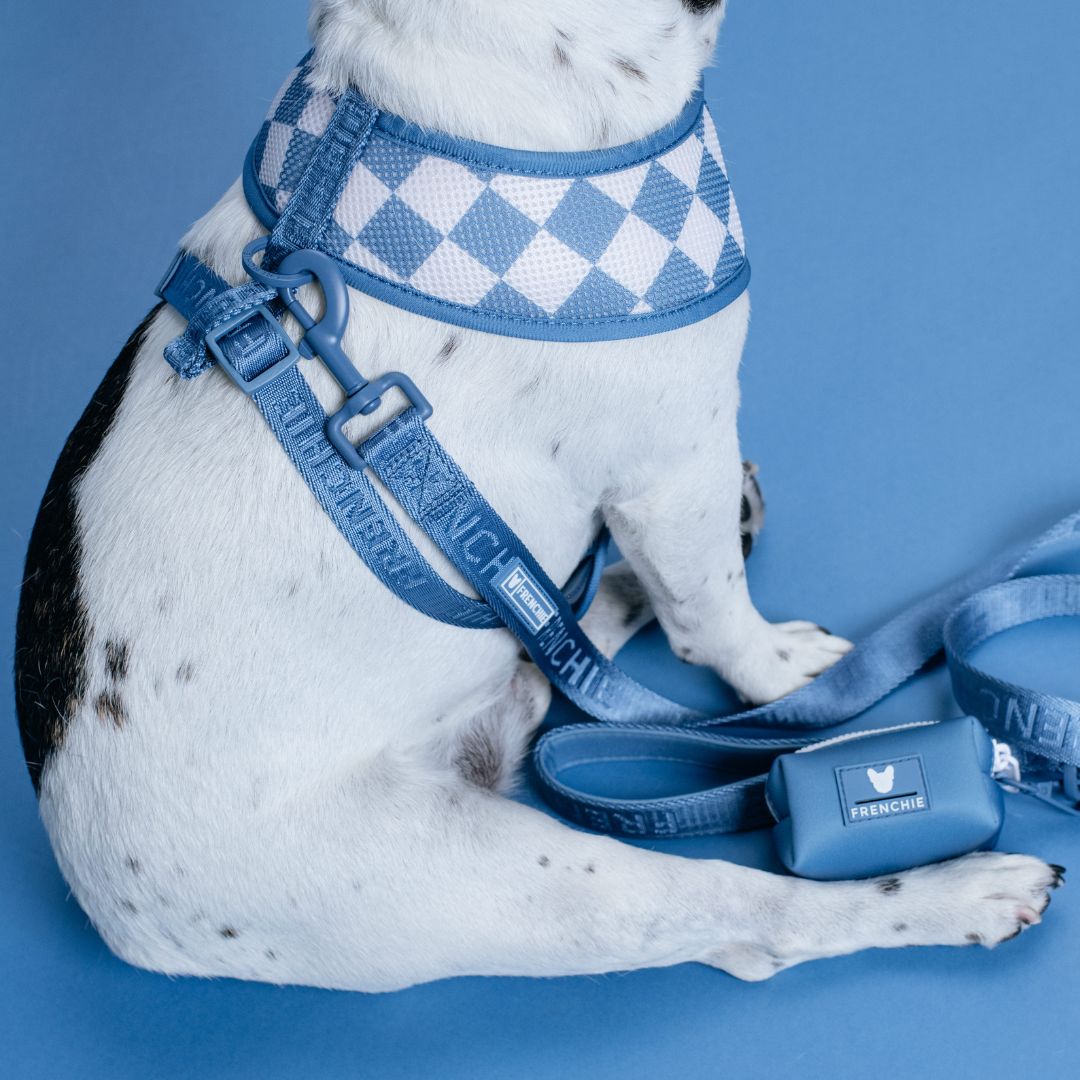 Frenchie Duo Reversible Harness - Blue Steel from Frenchie Bulldog