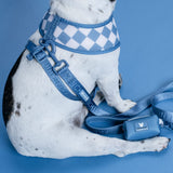 Frenchie Duo Reversible Harness - Blue Steel from Frenchie Bulldog