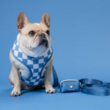 Frenchie Duo Reversible Harness - Blue Steel from Frenchie Bulldog