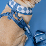 Frenchie Duo Reversible Harness - Blue Steel from Frenchie Bulldog