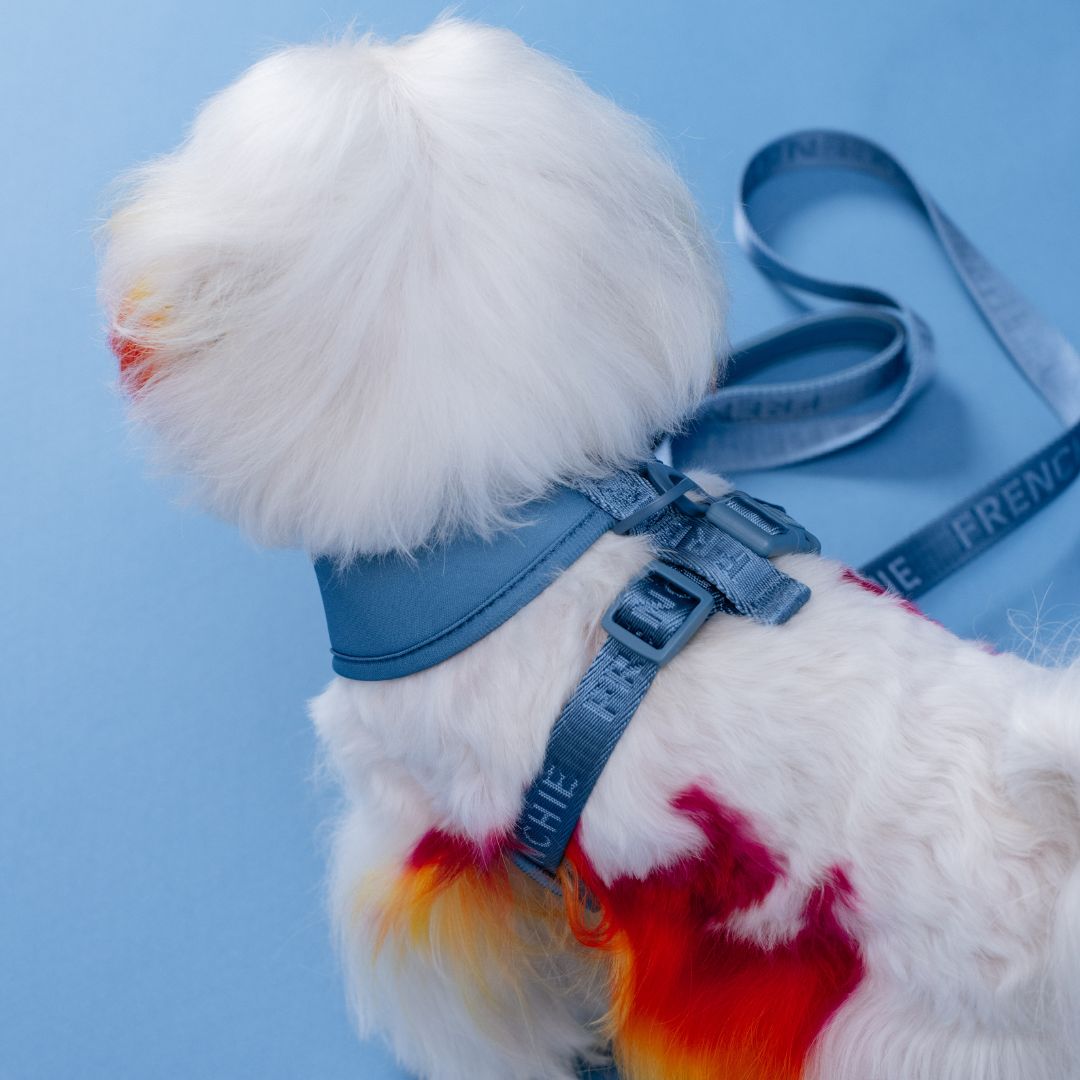 Frenchie Duo Reversible Harness - Blue Steel from Frenchie Bulldog