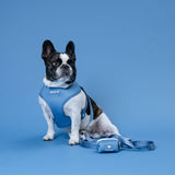 Frenchie Duo Reversible Harness - Blue Steel from Frenchie Bulldog