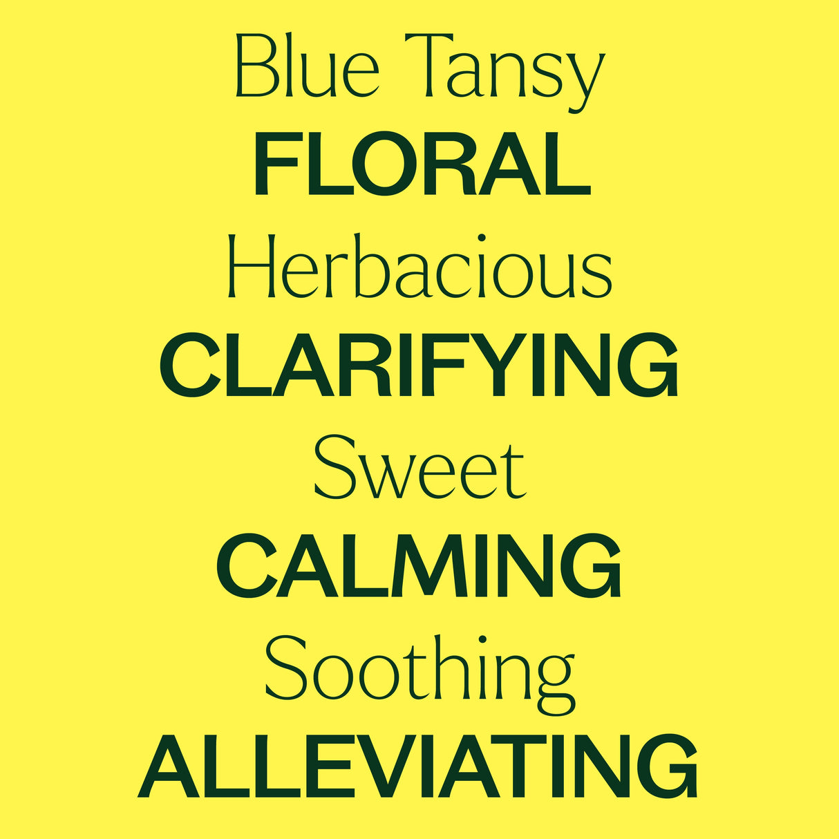 Blue Tansy Essential Oil From Plant Therapy