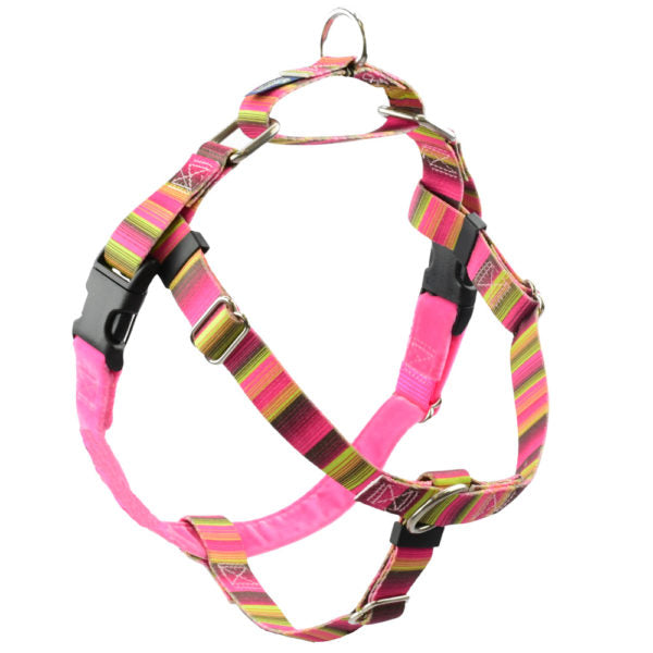Bonnie Freedom No-Pull Dog Harness – EarthStyle from 2 Hounds Design