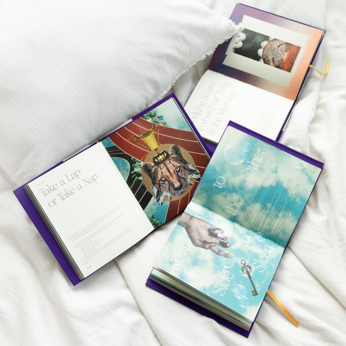 The Mysteries of Sleep Book From Loftie