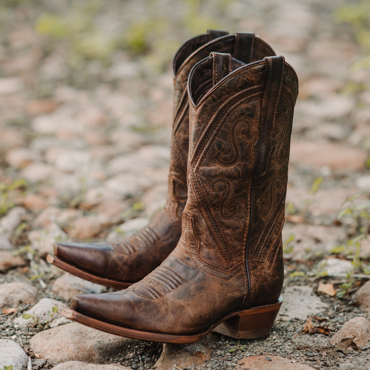 Cheyenne Cowgirl Boots | Women's Snipped Toe Leather Boots (M50041) from Soto Boots