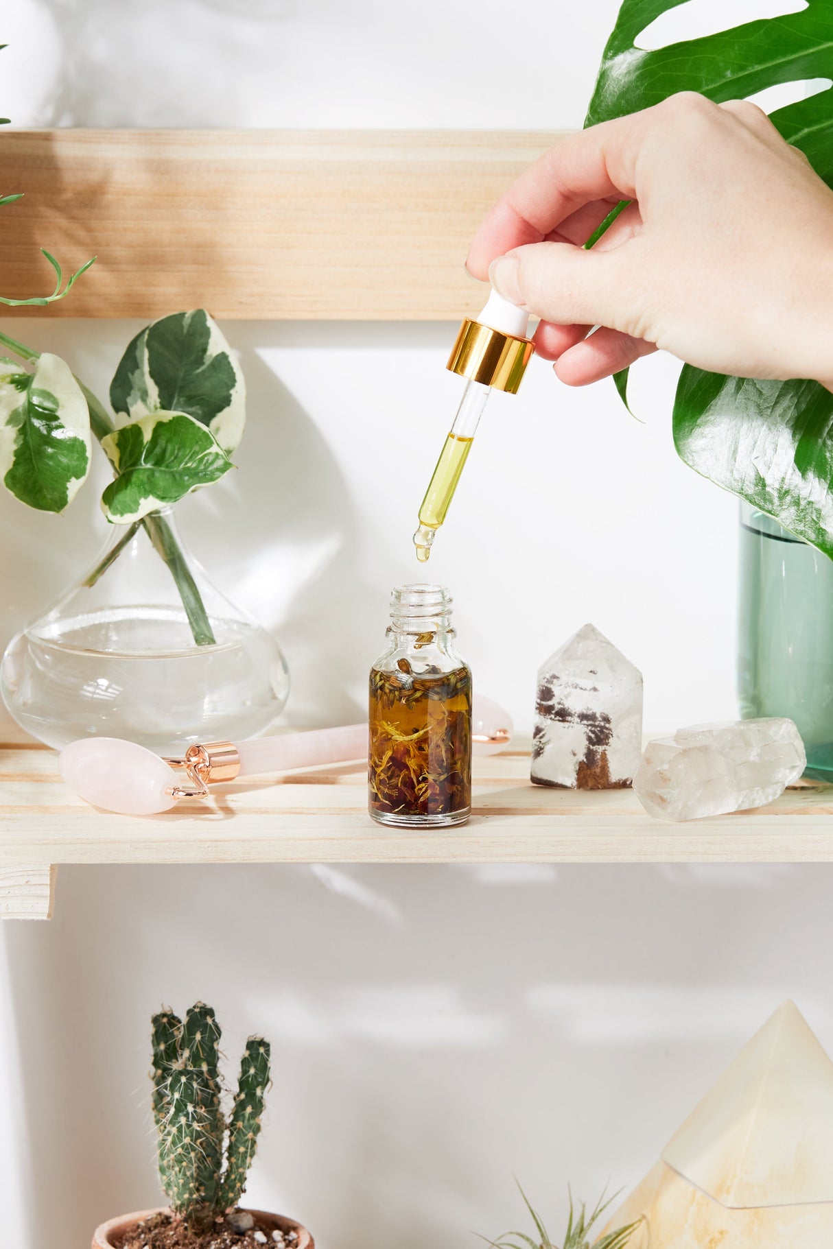 Anti Aging / Youth Serum / Facial Serum / Butter Me Up Organics / Botanical Serum / Herbal Oil / Fine Lines / Wrinkles / Face Oil Organic from Butter Me Up Organics