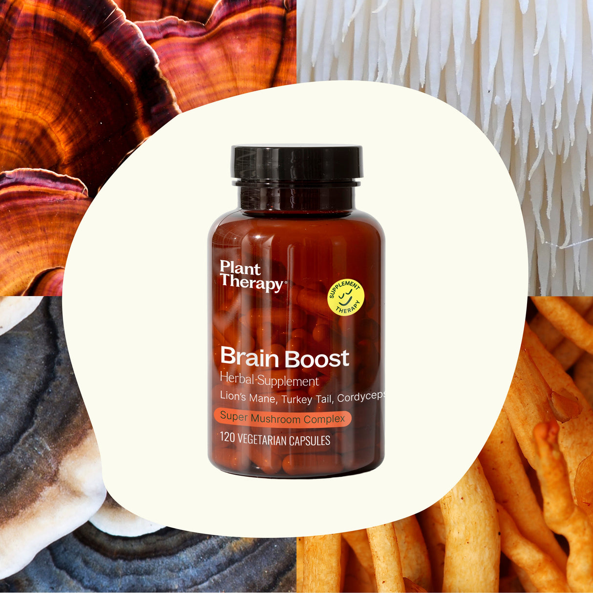 Brain Boost Herbal Supplement - 120 Capsules from Plant Therapy