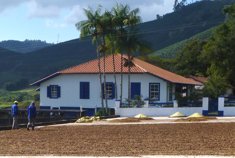Brazil Decaf from Nossa Familia Coffee