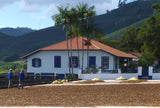Brazil Decaf from Nossa Familia Coffee