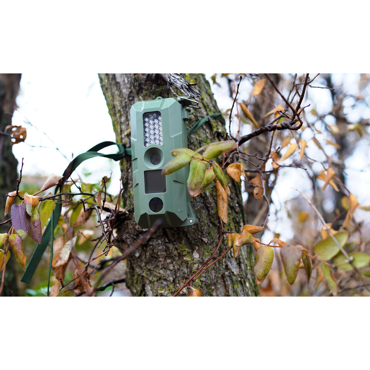 Five Megapixel Trail Camera (Time and Date Stamp) + 4GB Memory Card from Explore Scientific
