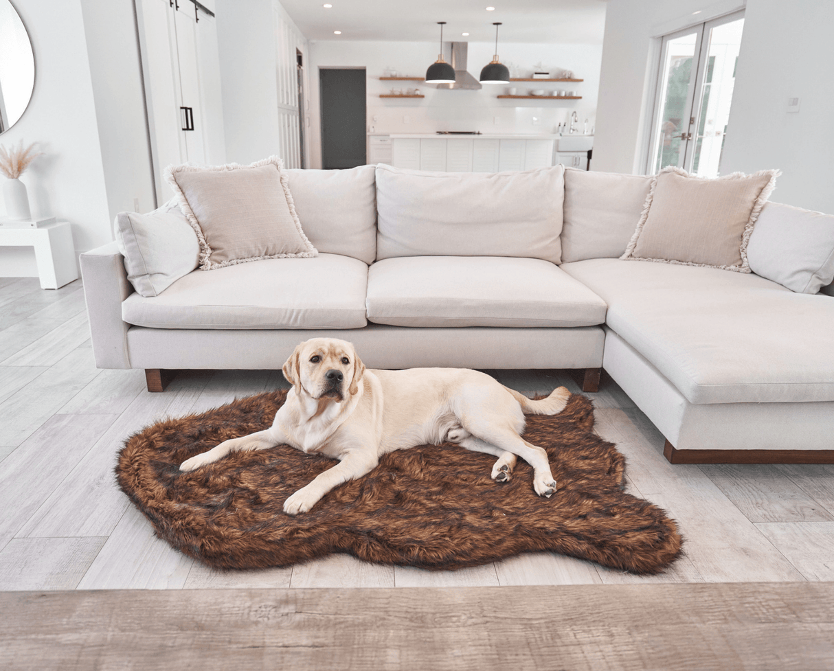 PupRug by Paw.com™ Faux Fur Orthopedic Dog Bed - Curve Brown from Paw.com