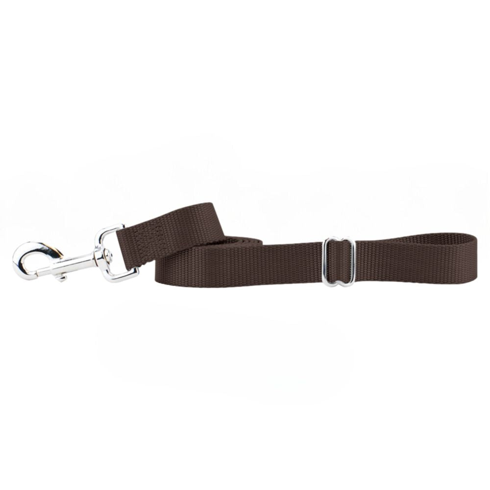 Brown Nylon Dog Leash from 2 Hounds Design