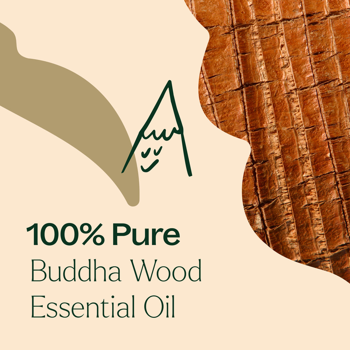 Buddha Wood Essential Oil From Plant Therapy