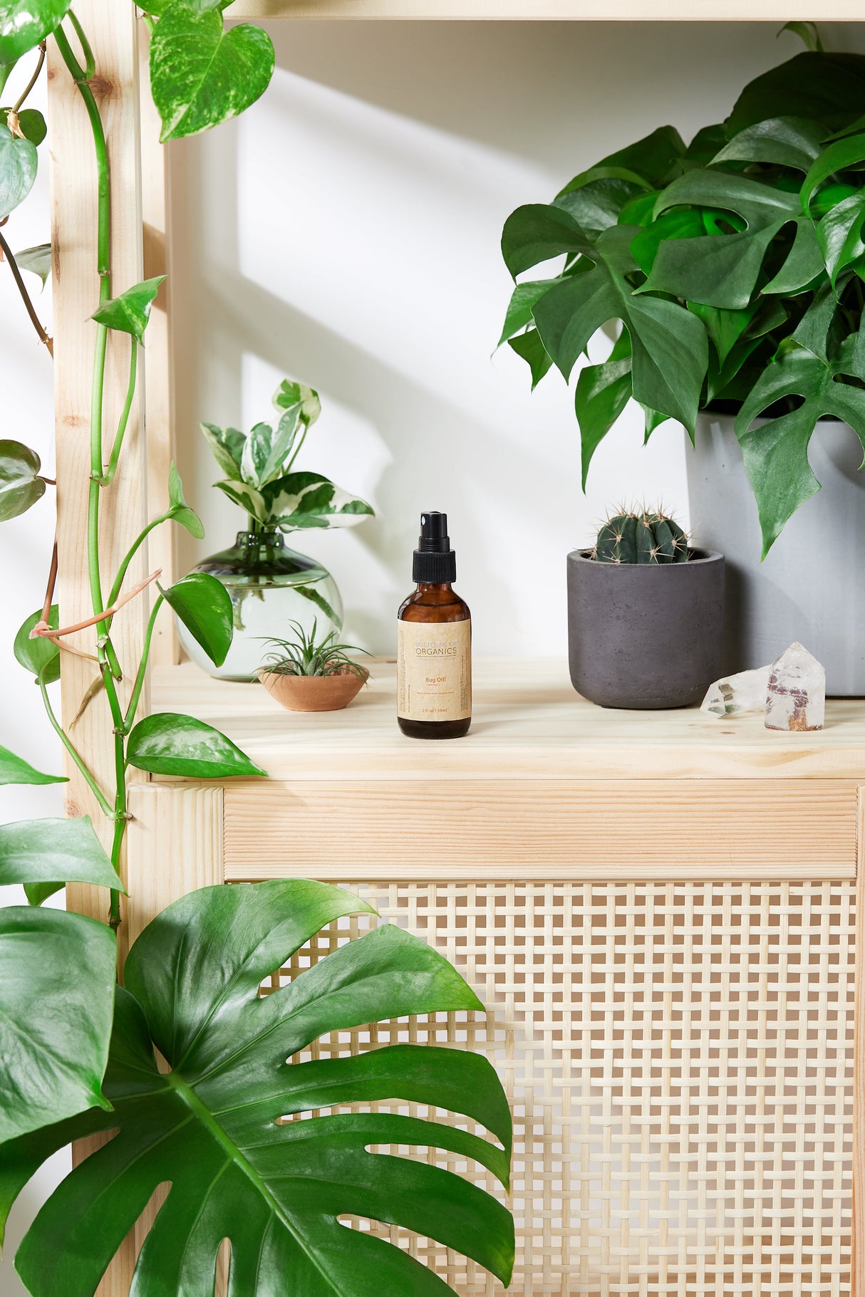 Organic Bug Spray / Mosquito Repellant / from Butter Me Up Organics