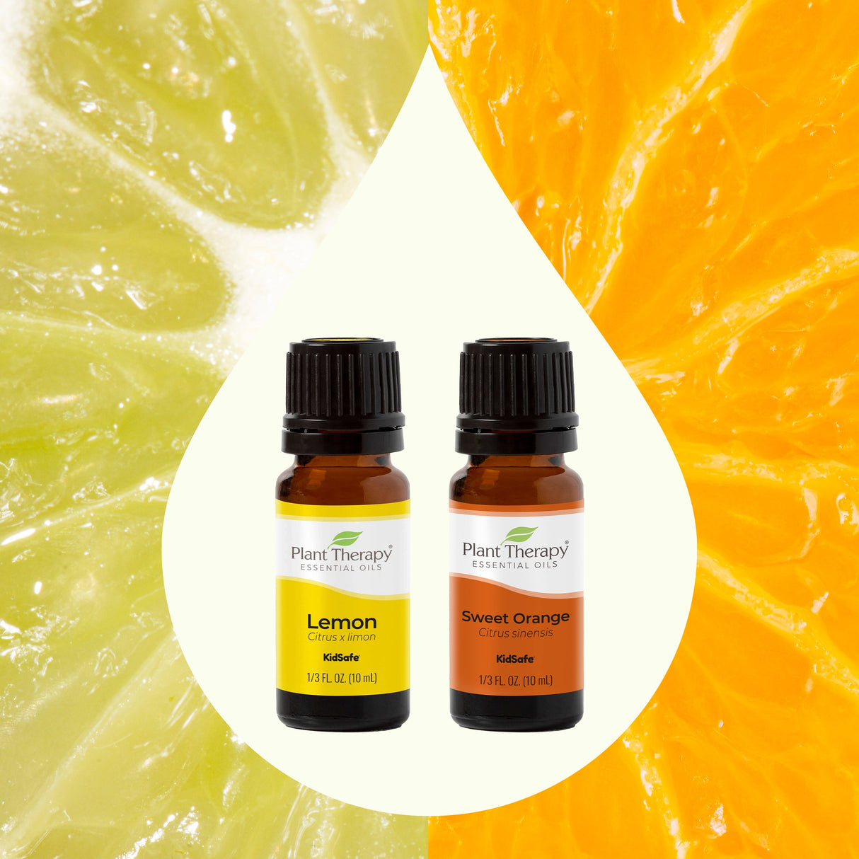 Citrus Season from Plant Therapy