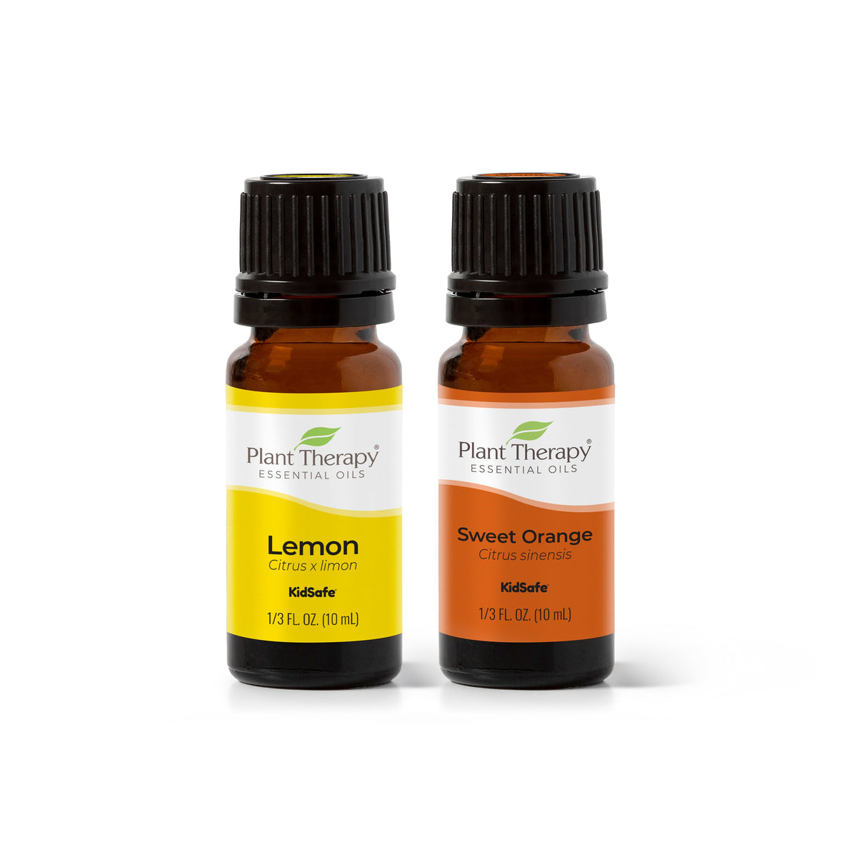 Citrus Season from Plant Therapy
