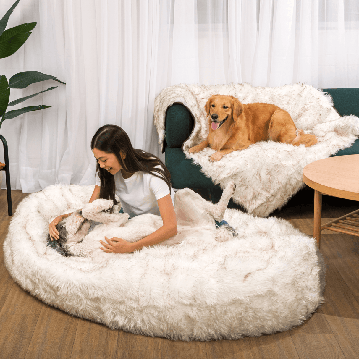 PupCloud™ Human-Size Dog Bed + Matching Waterproof Blanket Bundle - White with Brown Accents from Paw.com