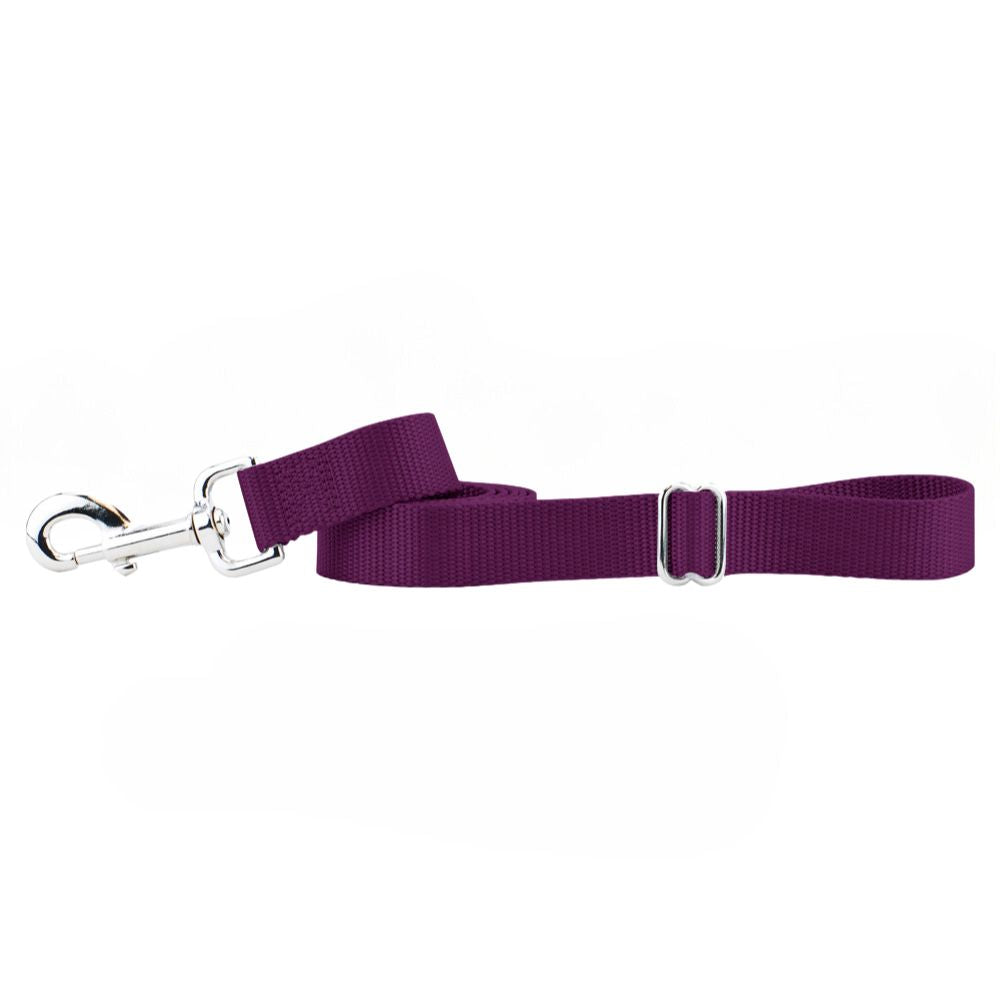 Burgundy Nylon Dog Leash from 2 Hounds Design