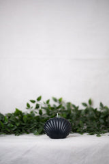 Shell Candle Collection from Shop Restyled