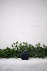 Shell Candle Collection from Shop Restyled