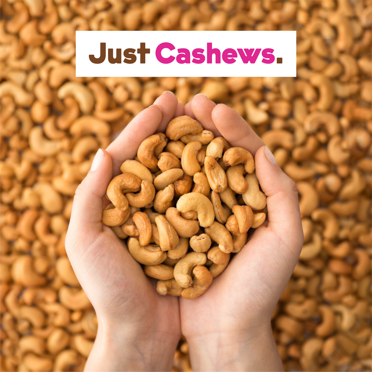 Cashew Milk Base 2-Pack From JOI