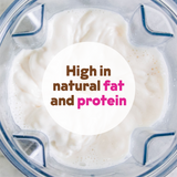 Cashew Milk Base - Bulk From JOI