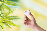 CBD -  5 Hearts Shaped Shower Steamers/ fizzies with CBD - in a Gift Box - Can be personalized. (THC free) from Lizush