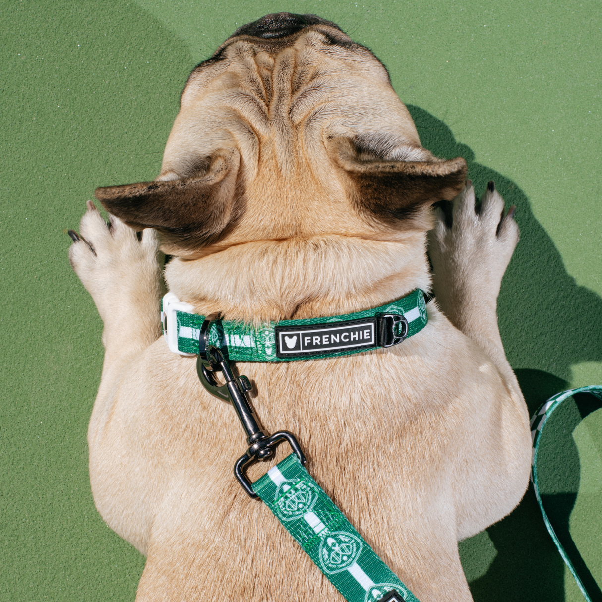Frenchie Comfort Collar - Pickleball from Frenchie Bulldog