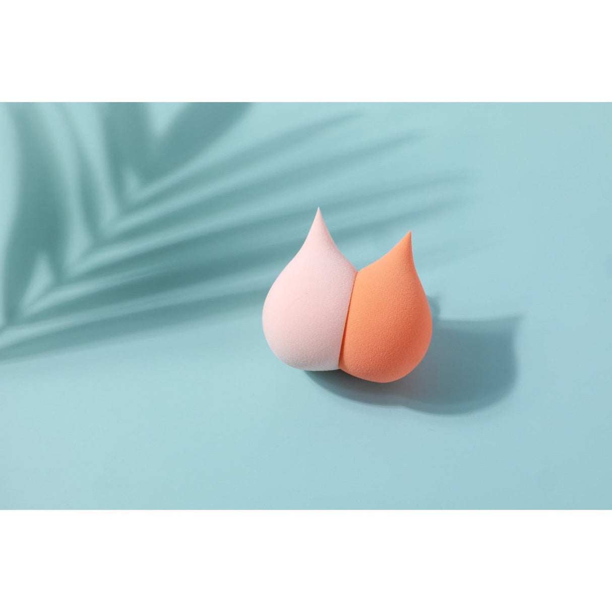 Cat Sponge Set | Makeup Sponge Set From Prolux Cosmetics
