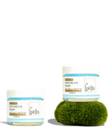Caffeine Eye Cream Duo from the [pH]ix Skin Care Smooth Smooth Soothing Comfort