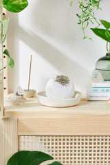 Organic Bath Bomb Calm Bomb- TWO SIZES lavender and chamomile bath fizzie from Butter Me Up Organics