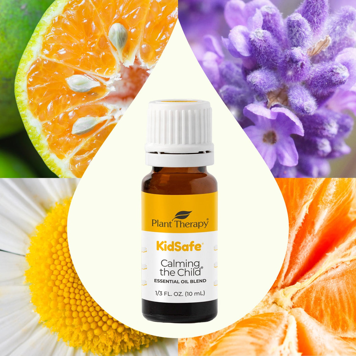 Calming the Child KidSafe Essential Oil From Plant Therapy