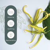 Cananga Essential Oil From Plant Therapy