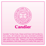 CANT TALK BUSY MANIFESTING CANDLE from Shop Ryan Porter