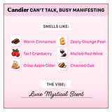 CANT TALK BUSY MANIFESTING CANDLE from Shop Ryan Porter