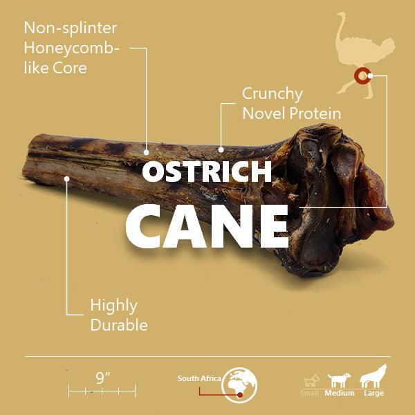 Large Ostrich Cane (11.5" x 5"): The Ultimate Long-Lasting Chew for Medium, Large & XL Dogs from Savannah Pet Food