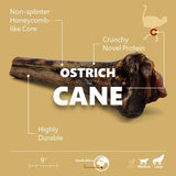 Large Ostrich Cane (11.5" x 5"): The Ultimate Long-Lasting Chew for Medium, Large & XL Dogs from Savannah Pet Food