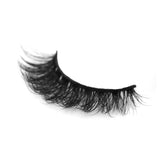 GladGirl False Lash Kit - Cat Eye Volume from GladGirl