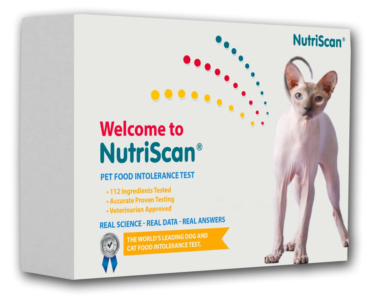 CAT FOOD ALLERGY / SENSITIVITY TEST! from ReNewedPet