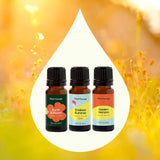 Chasing Sunshine Essential Oil Blend Set from Plant Therapy